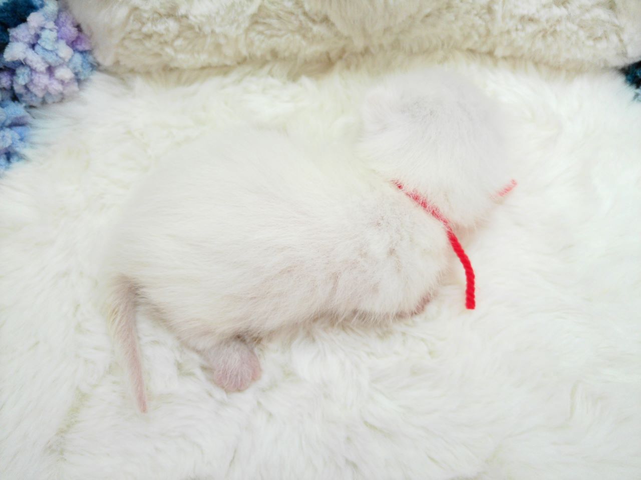 赤ちゃん写真1-3