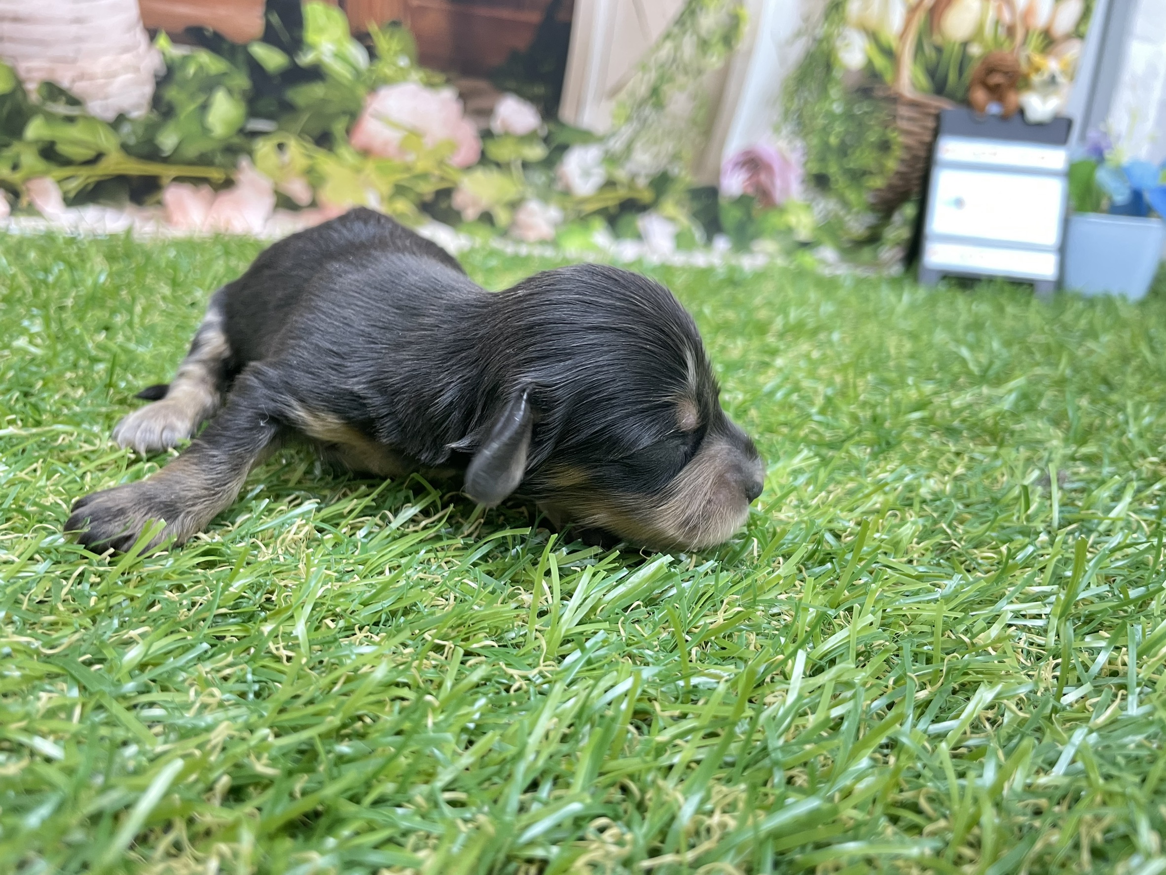 赤ちゃん写真1-1