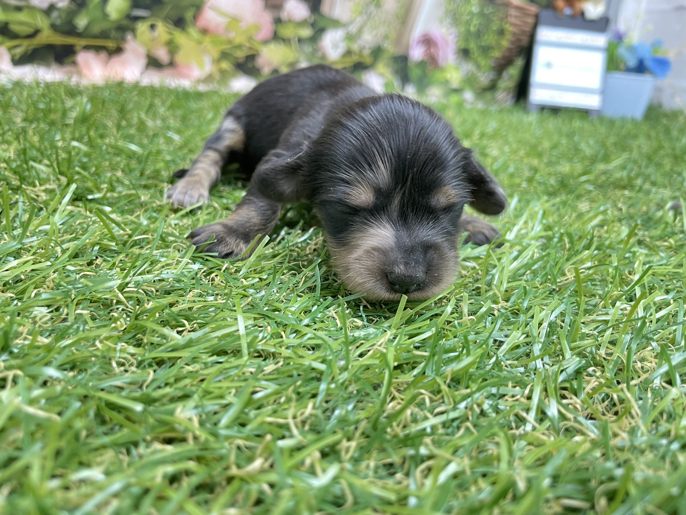 赤ちゃん写真1-2