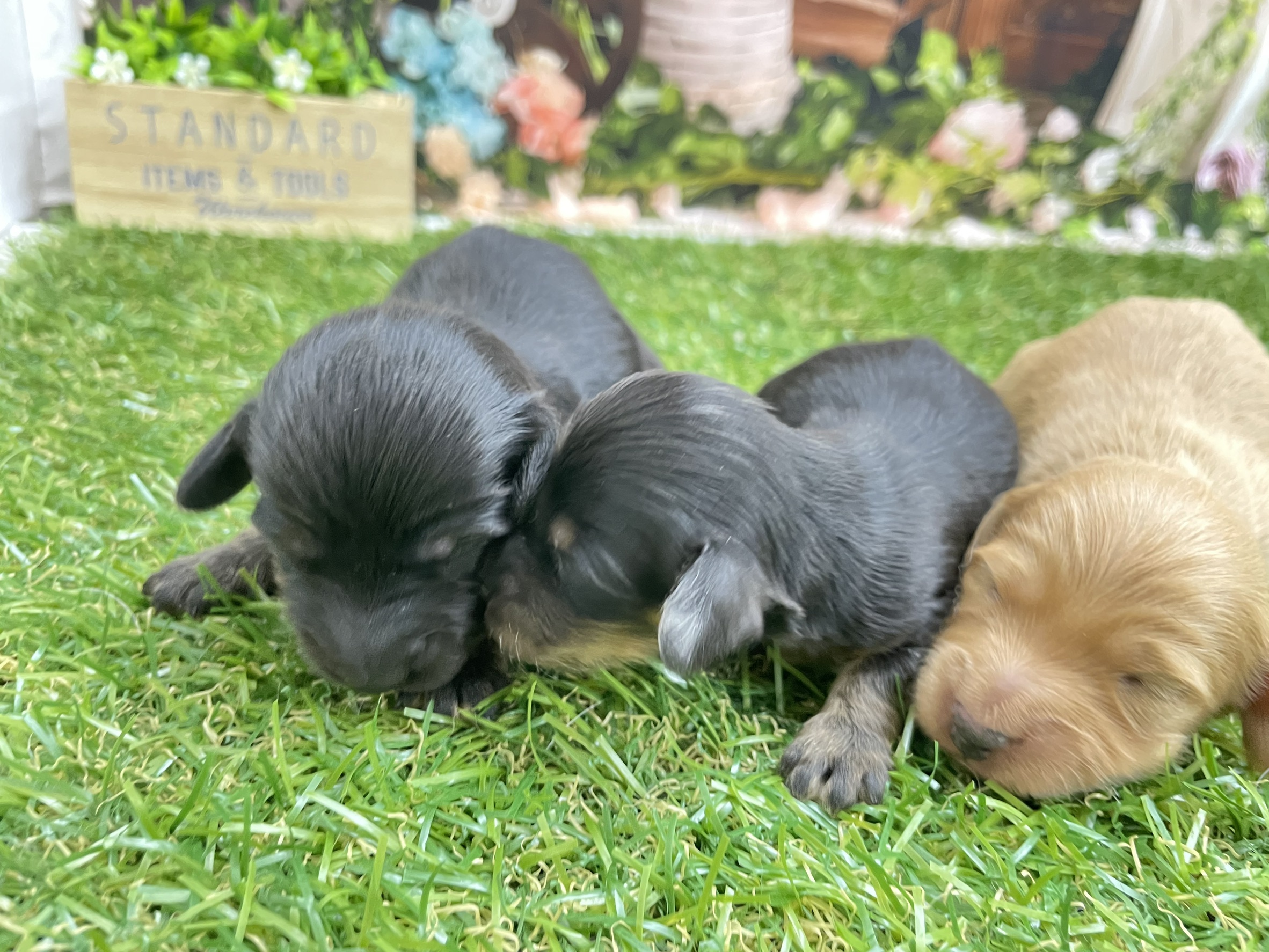 赤ちゃん写真1-3