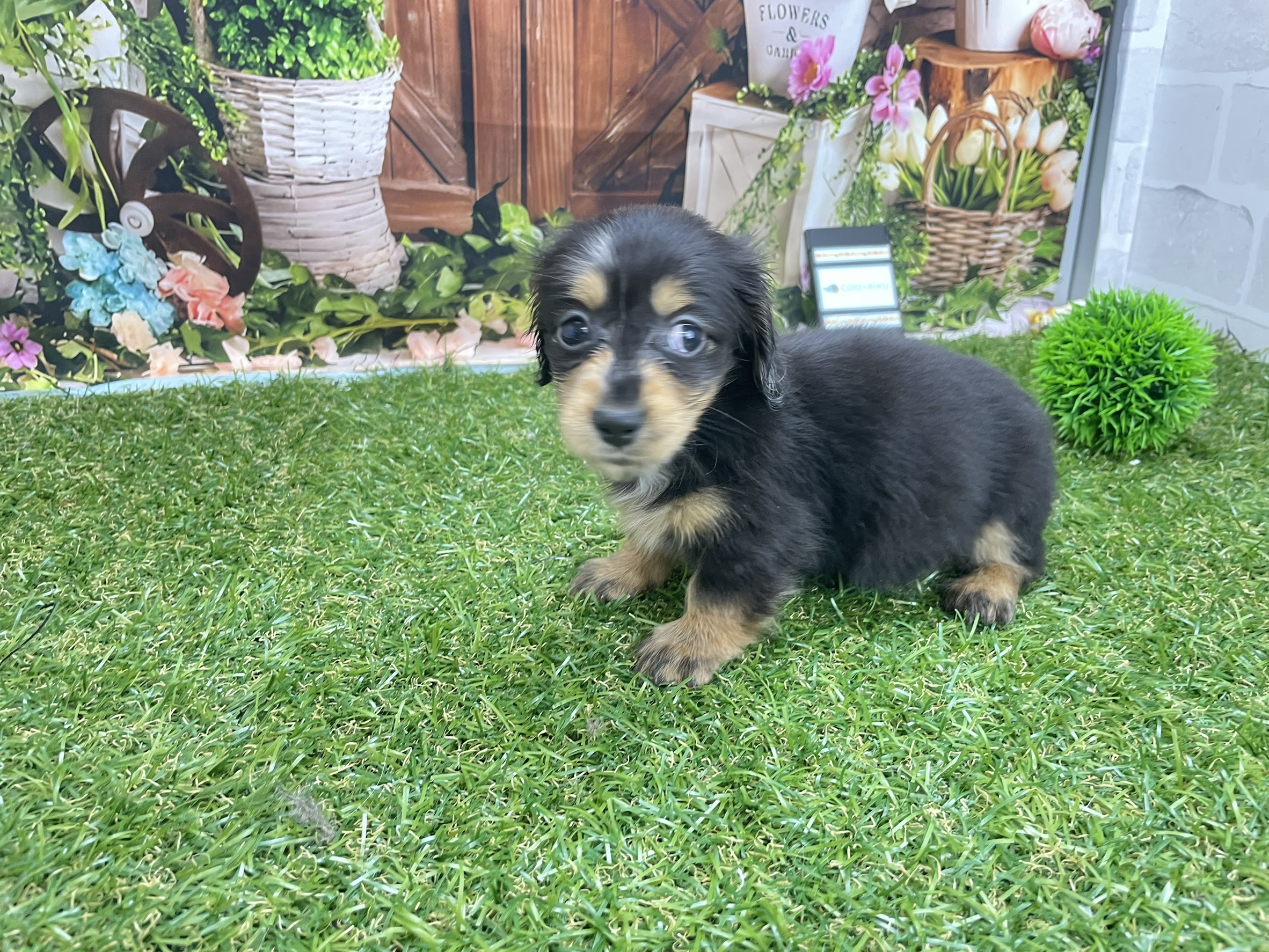 赤ちゃん写真2-1