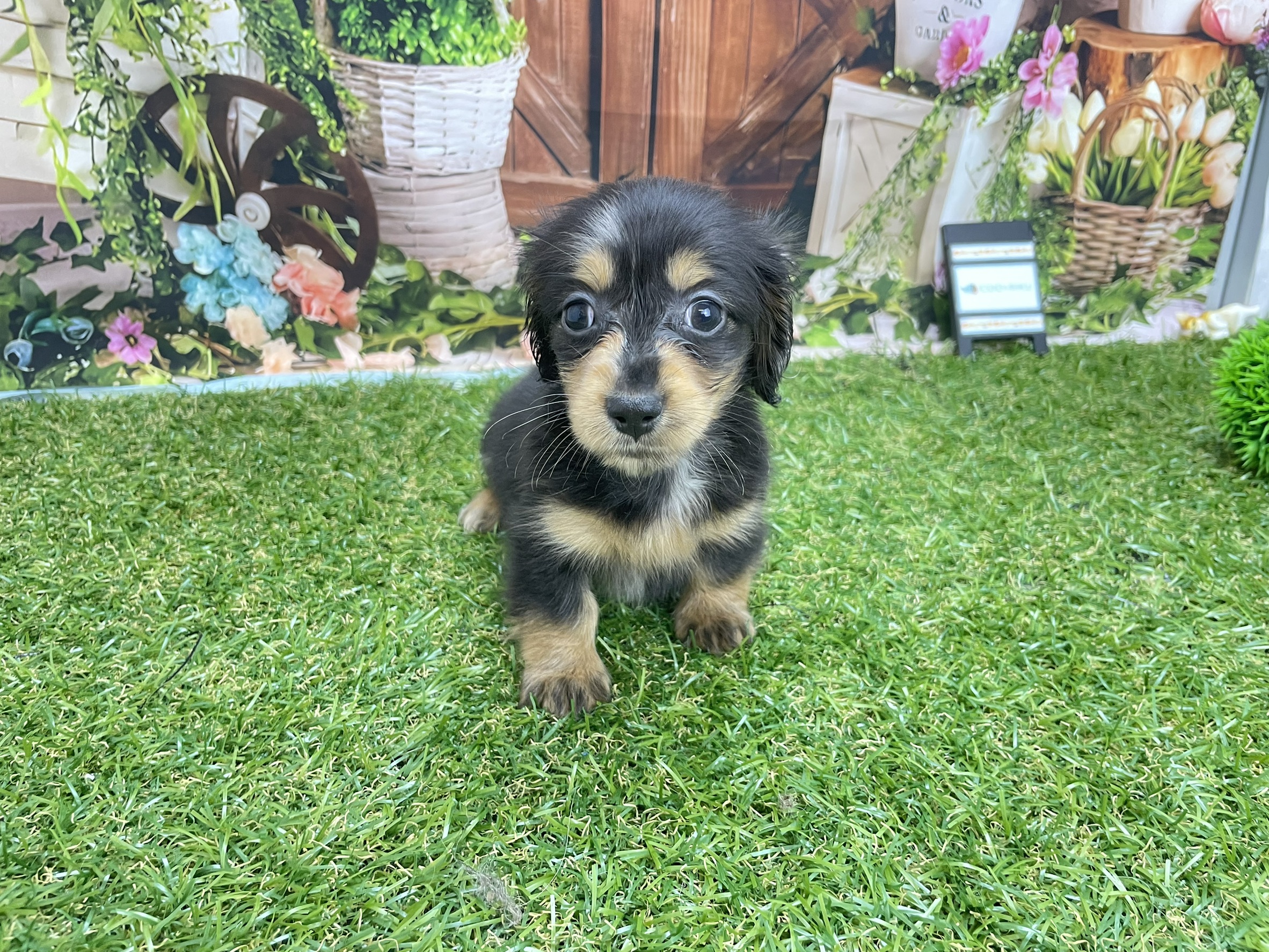 赤ちゃん写真2-2