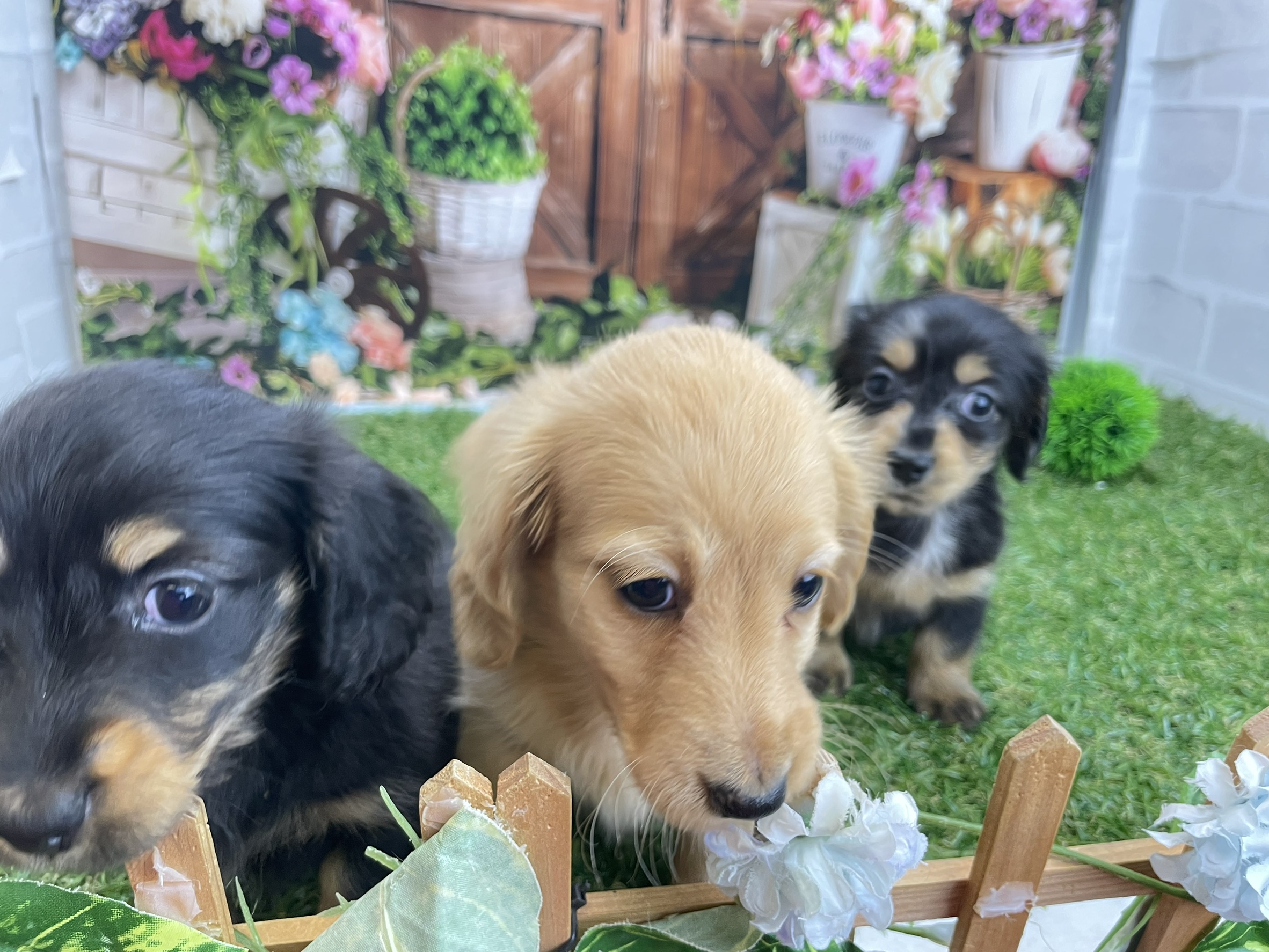 赤ちゃん写真2-3