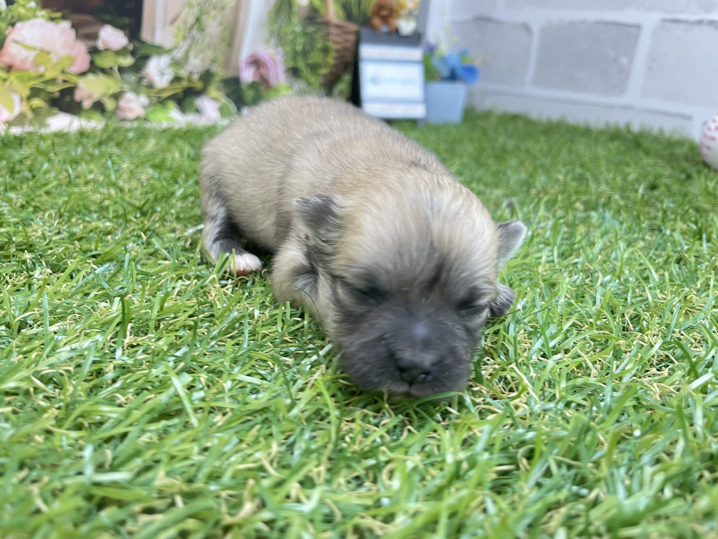 赤ちゃん写真1-2