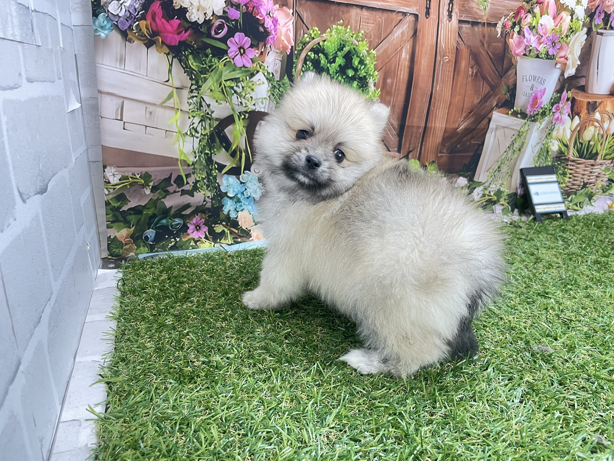 赤ちゃん写真2-1