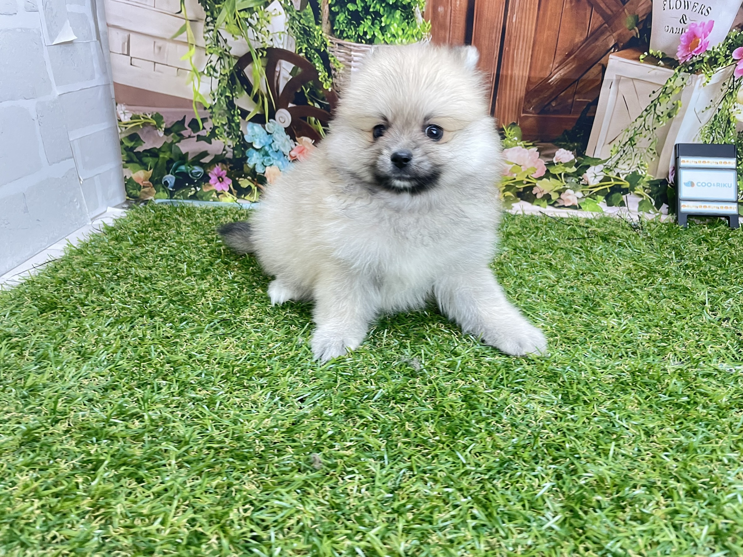 赤ちゃん写真2-2