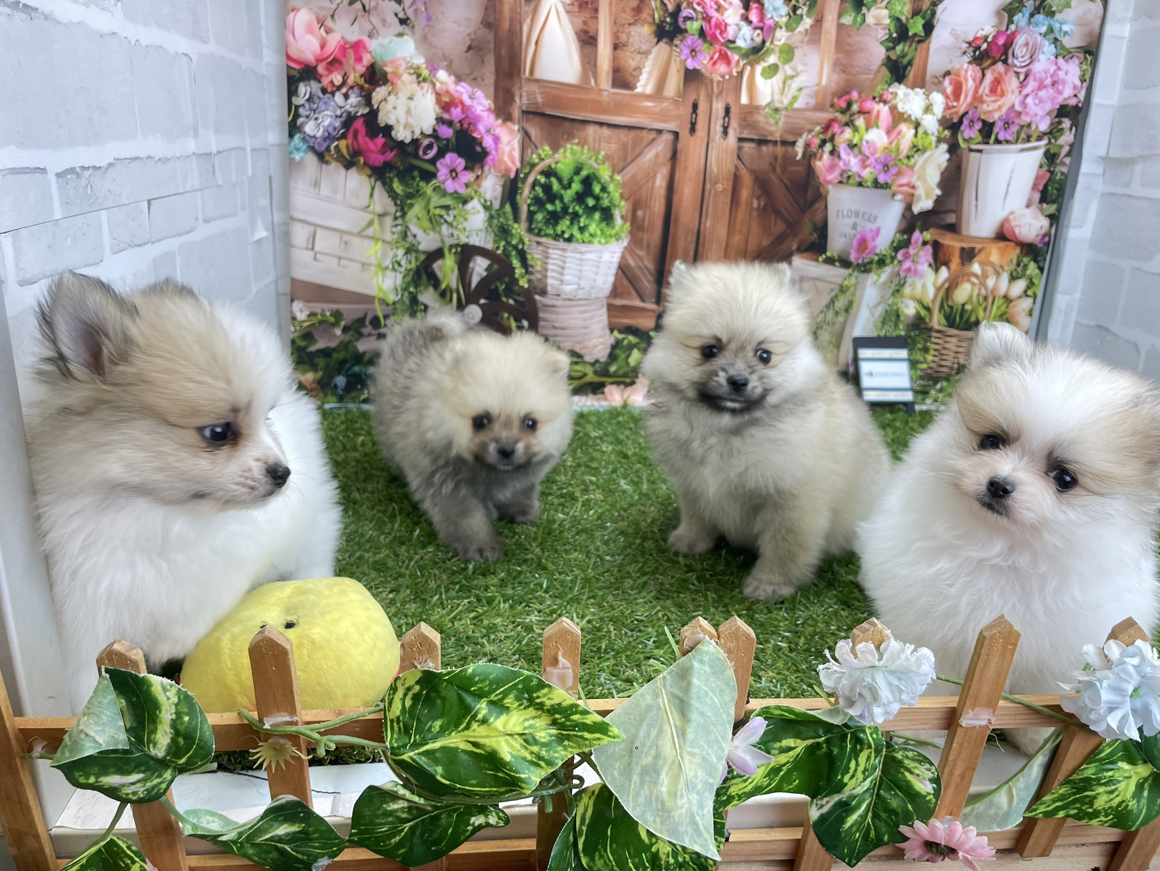 赤ちゃん写真2-3