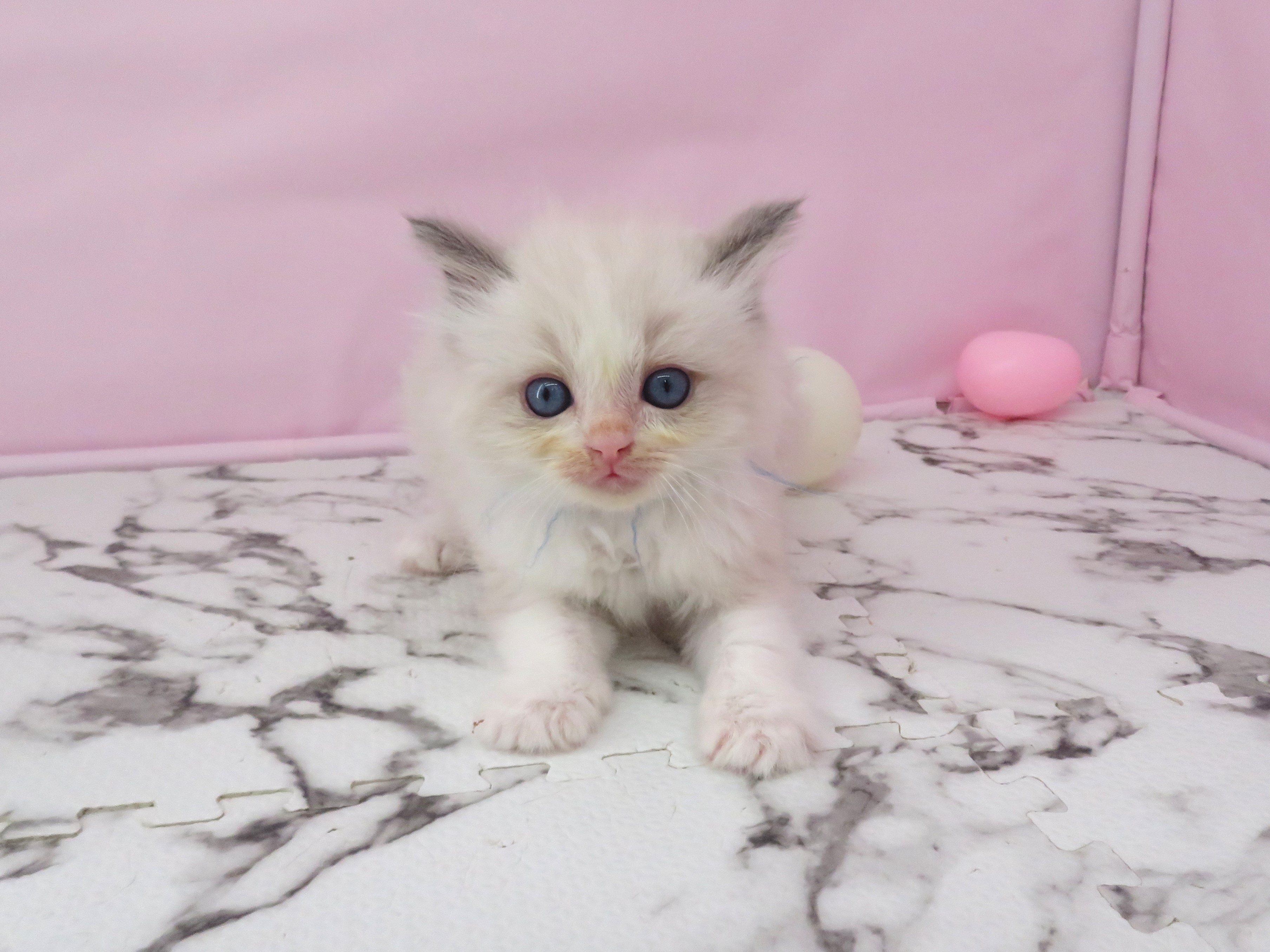 赤ちゃん写真2-1