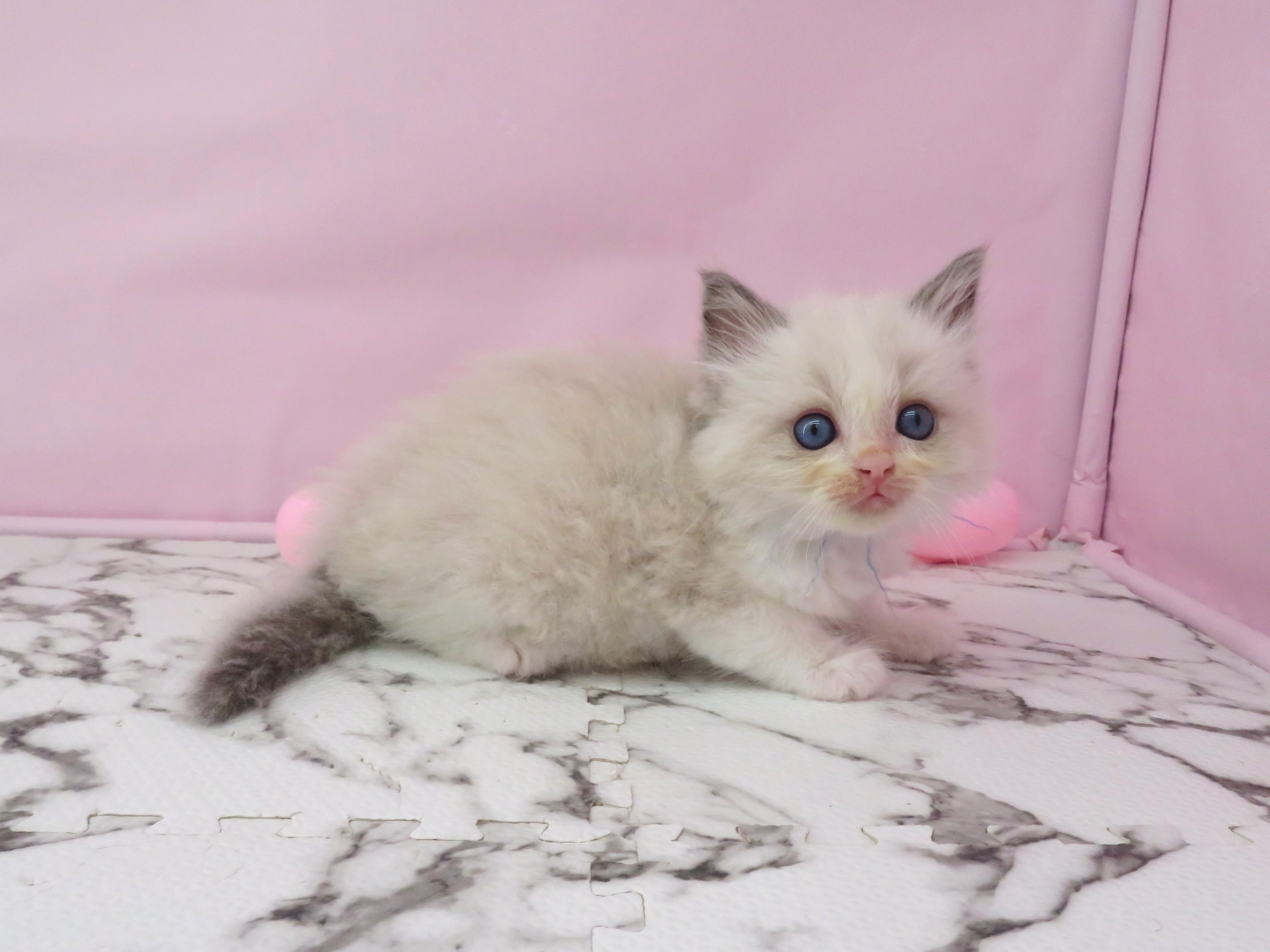 赤ちゃん写真2-2