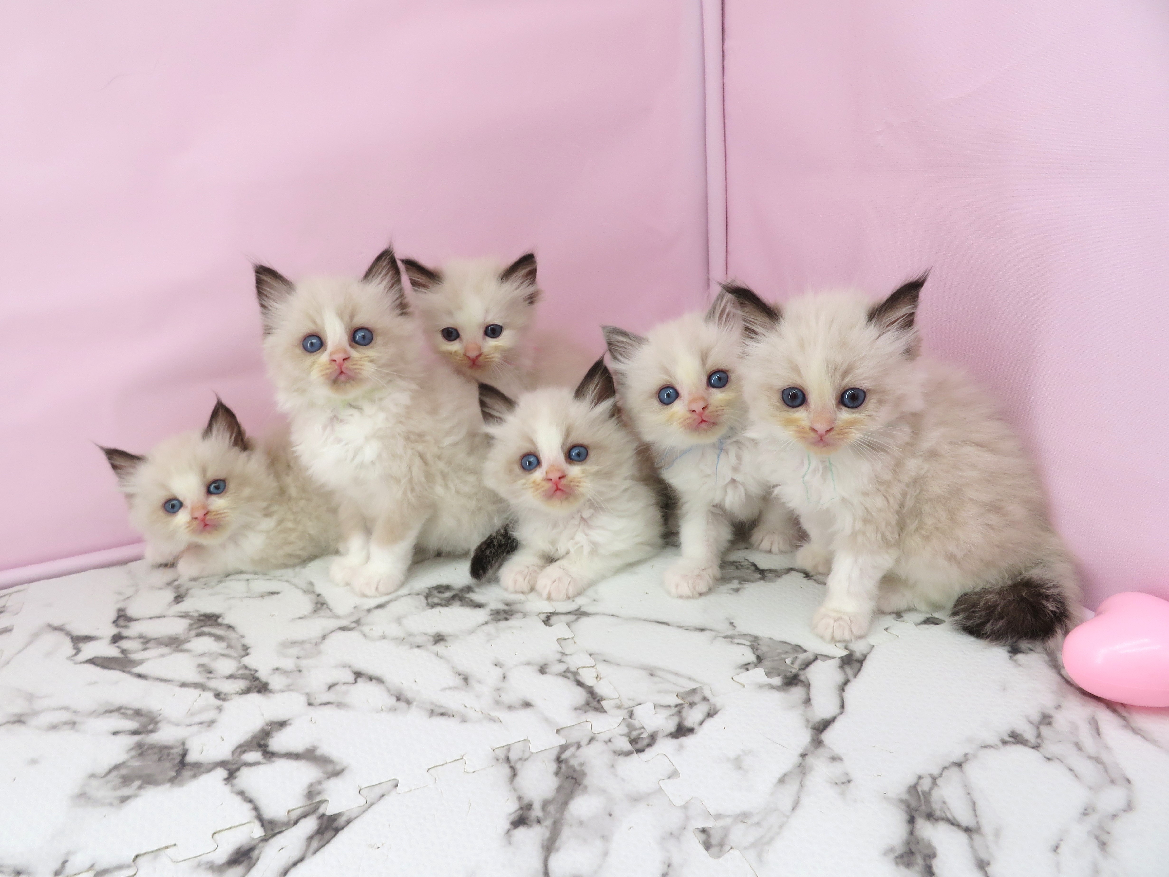 赤ちゃん写真2-3