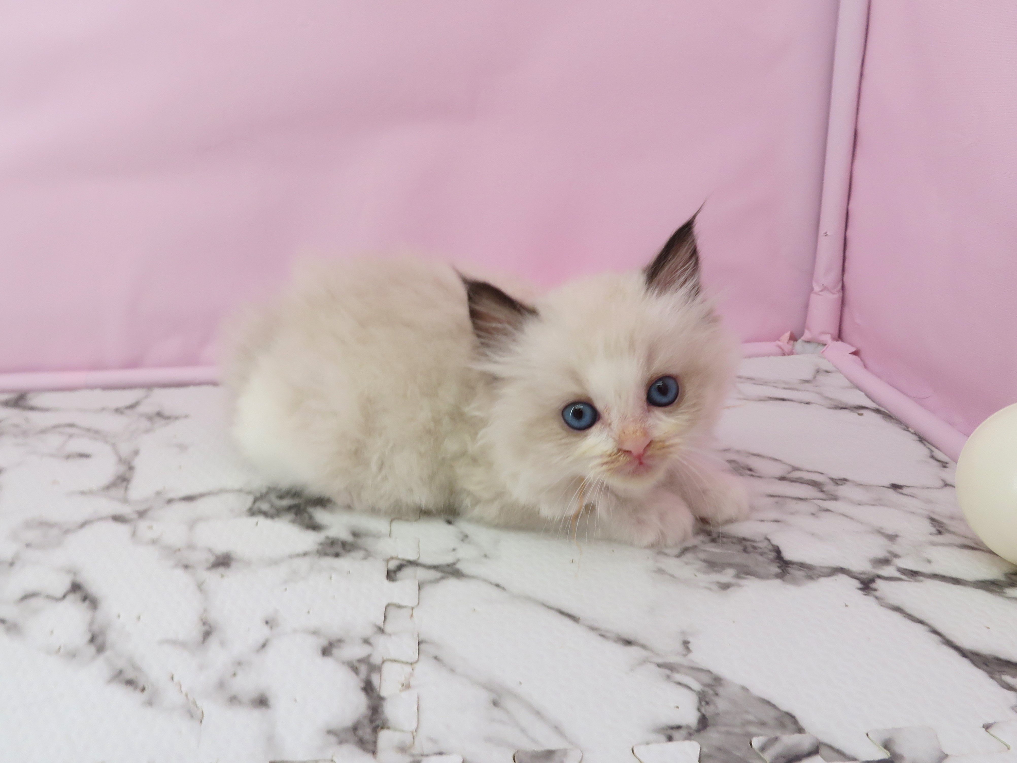 赤ちゃん写真2-2