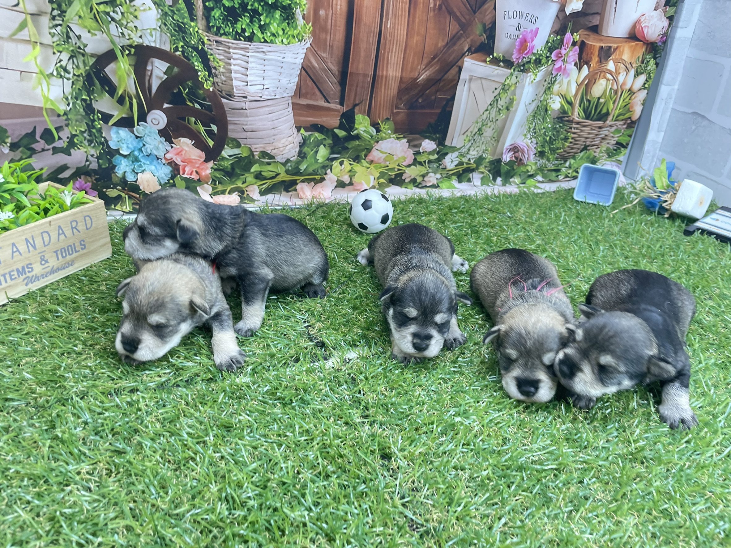 赤ちゃん写真1-3