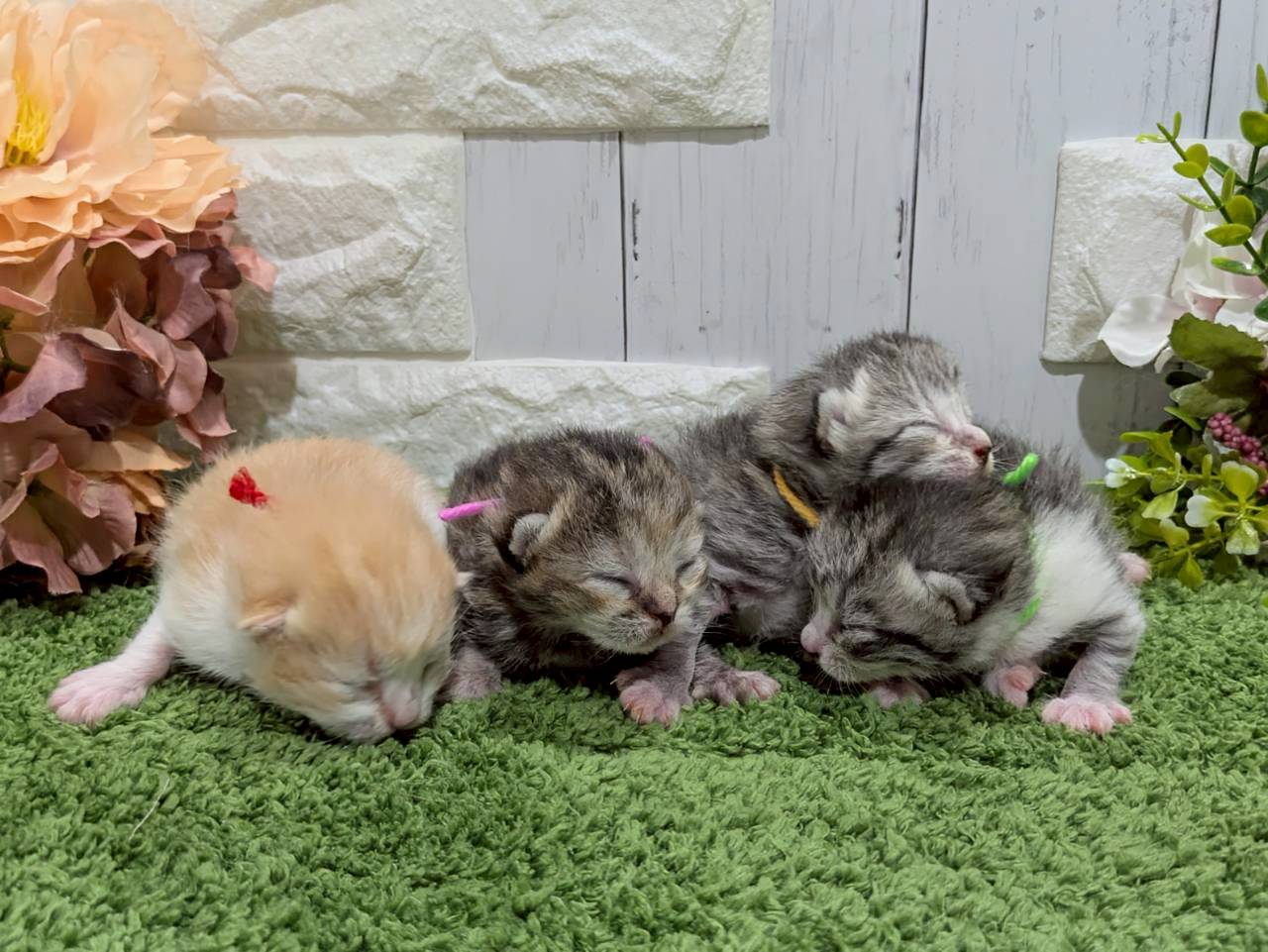赤ちゃん写真1-3
