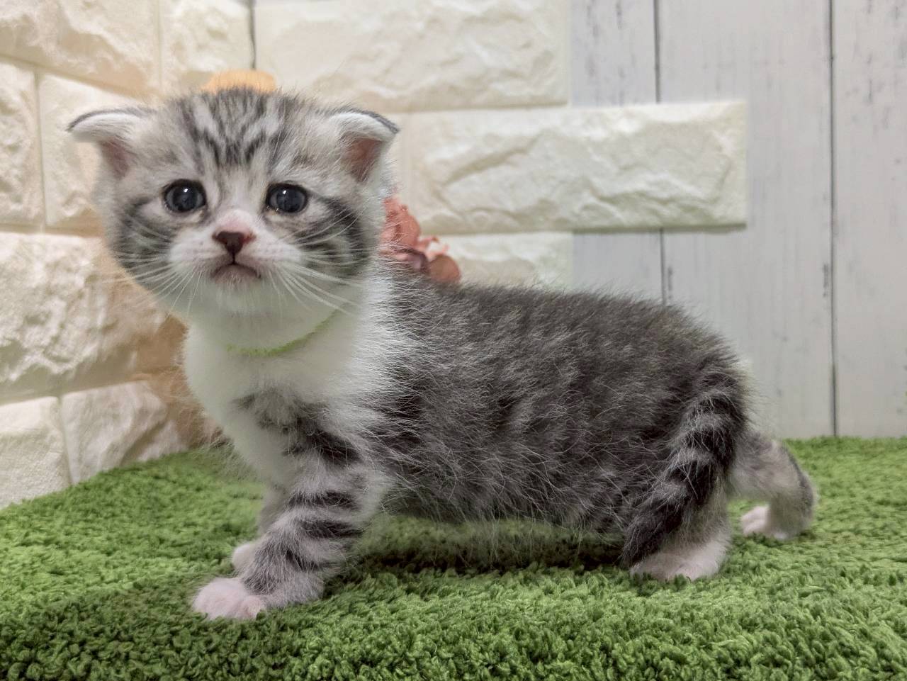 赤ちゃん写真2-2