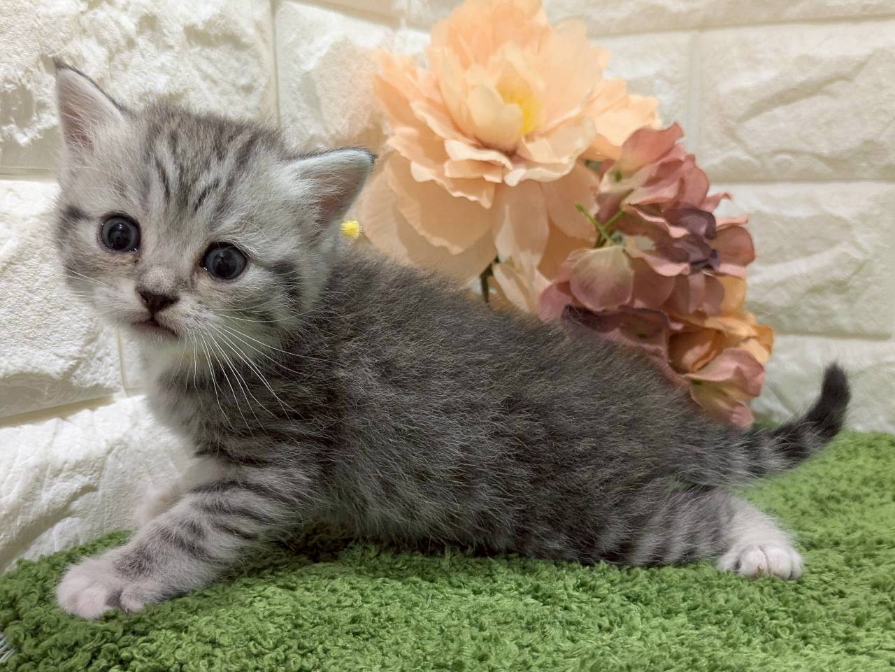 赤ちゃん写真2-2