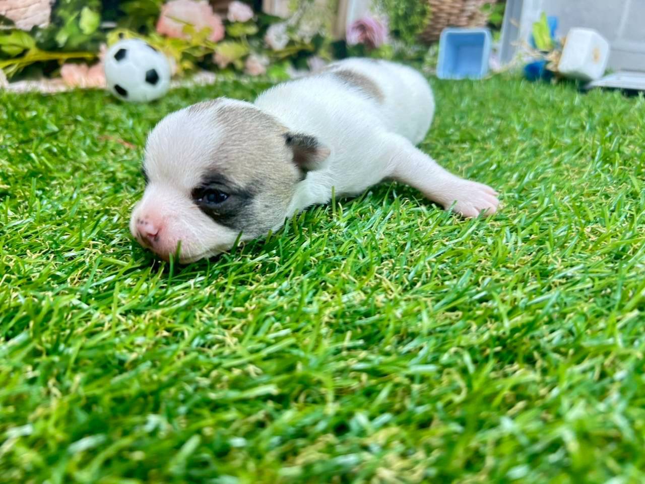 赤ちゃん写真1-1