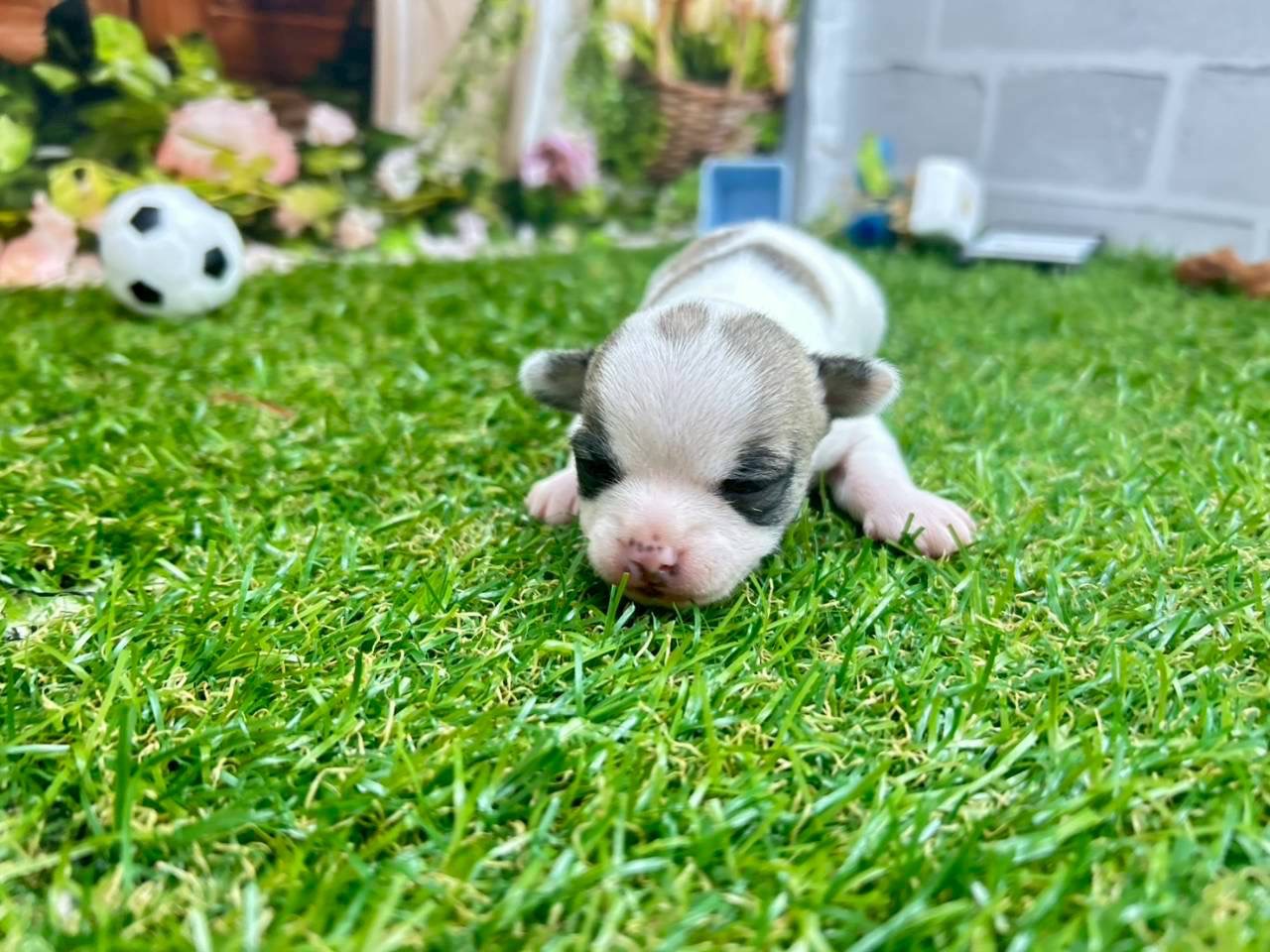 赤ちゃん写真1-2