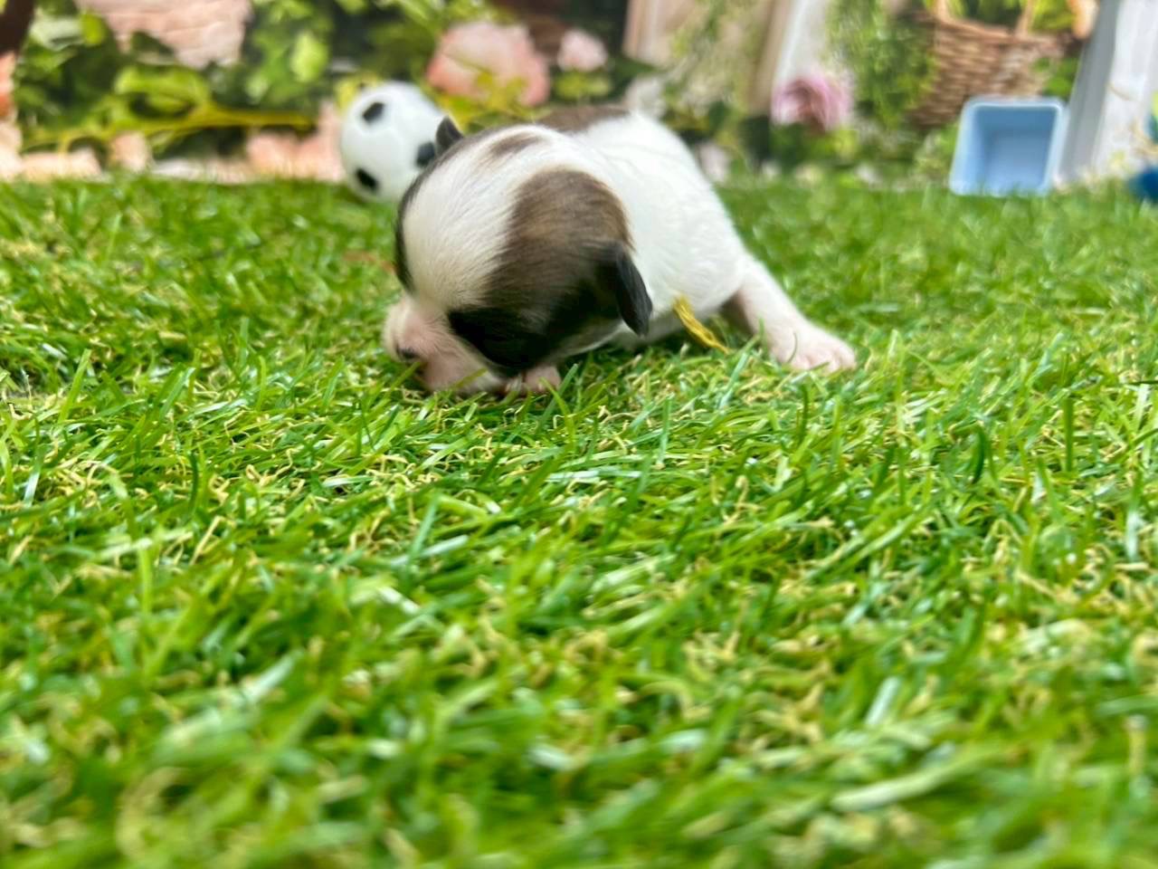 赤ちゃん写真1-1