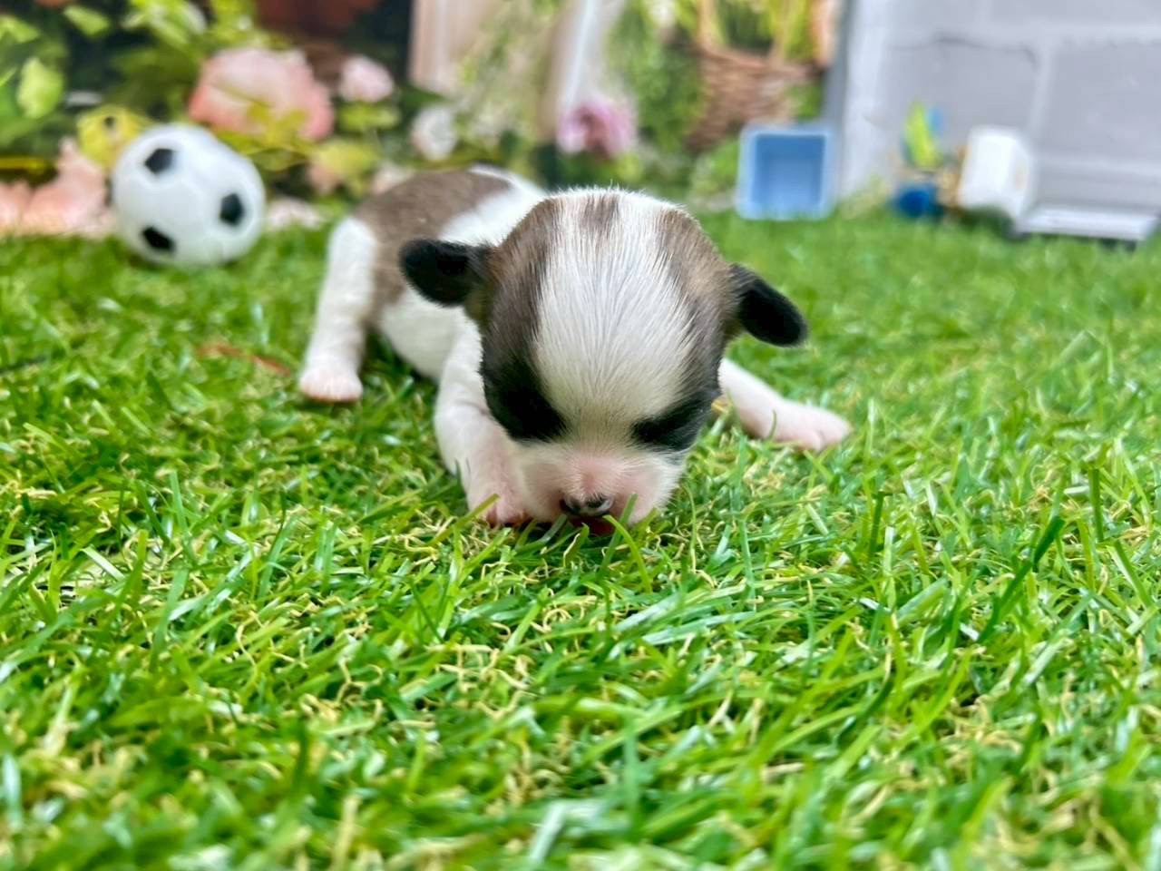 赤ちゃん写真1-2