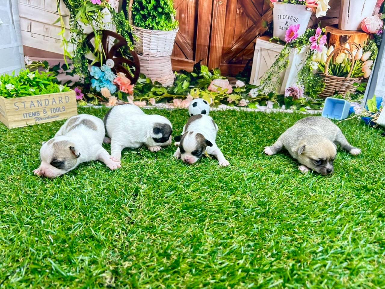 赤ちゃん写真1-3