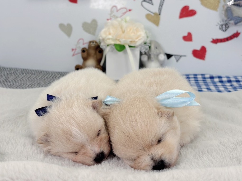 赤ちゃん写真1-3
