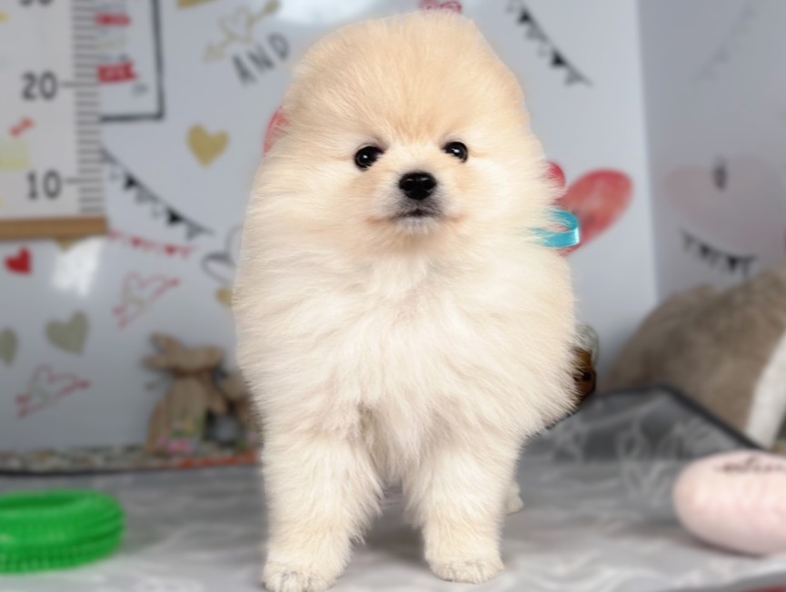 赤ちゃん写真2-1