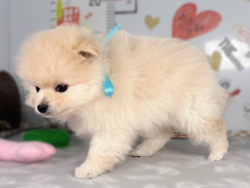 赤ちゃん写真2-2