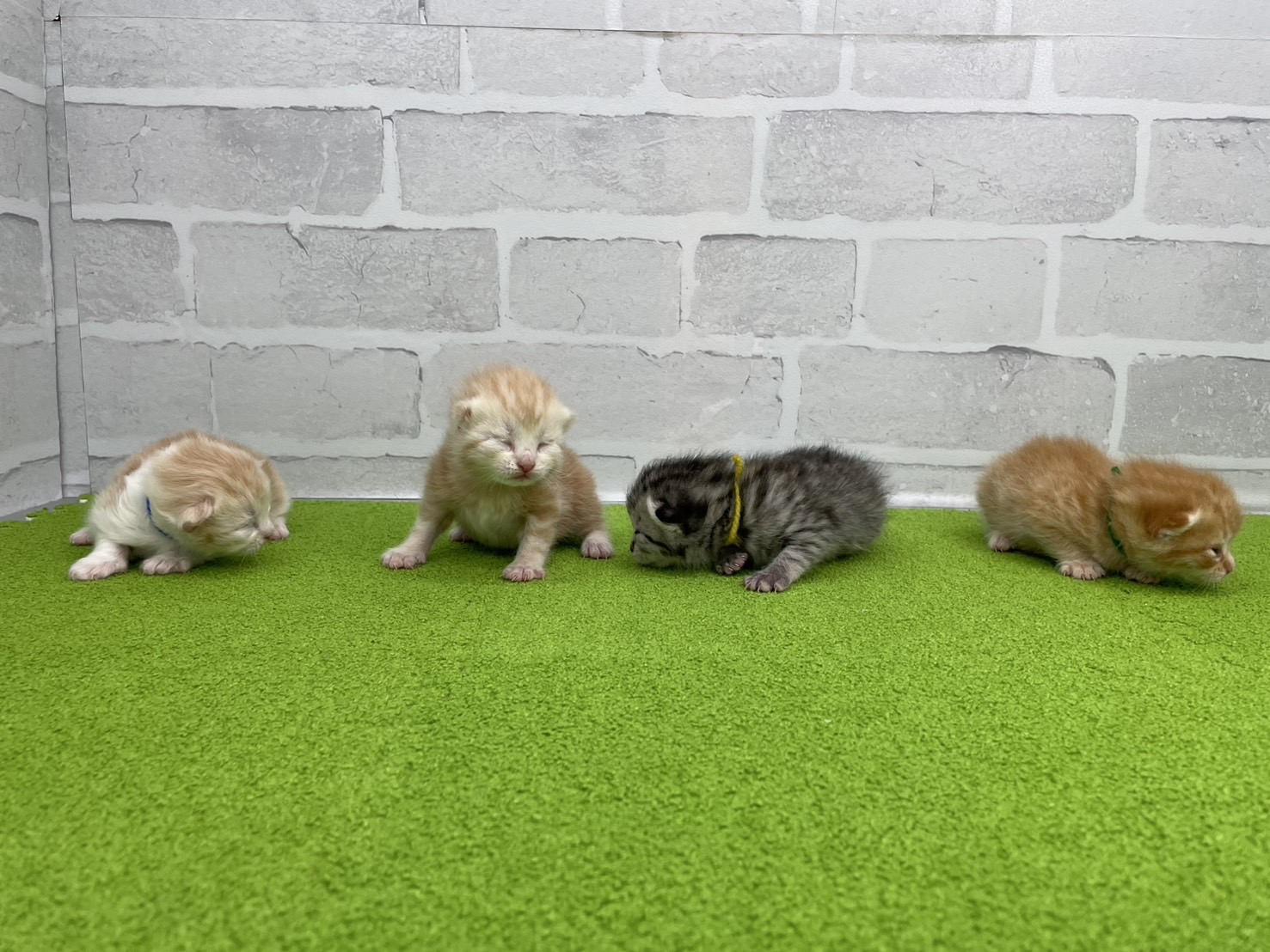 赤ちゃん写真1-3