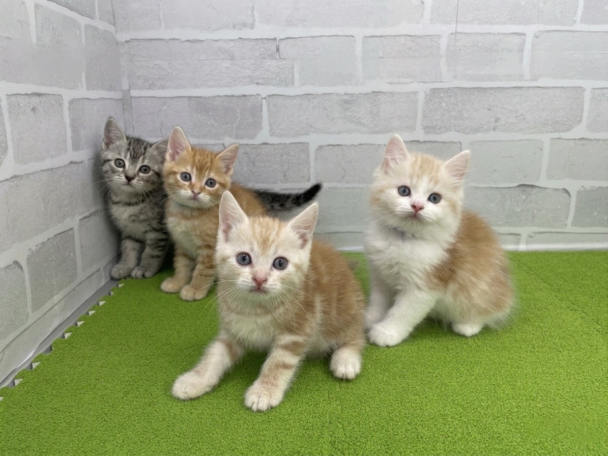 赤ちゃん写真2-3