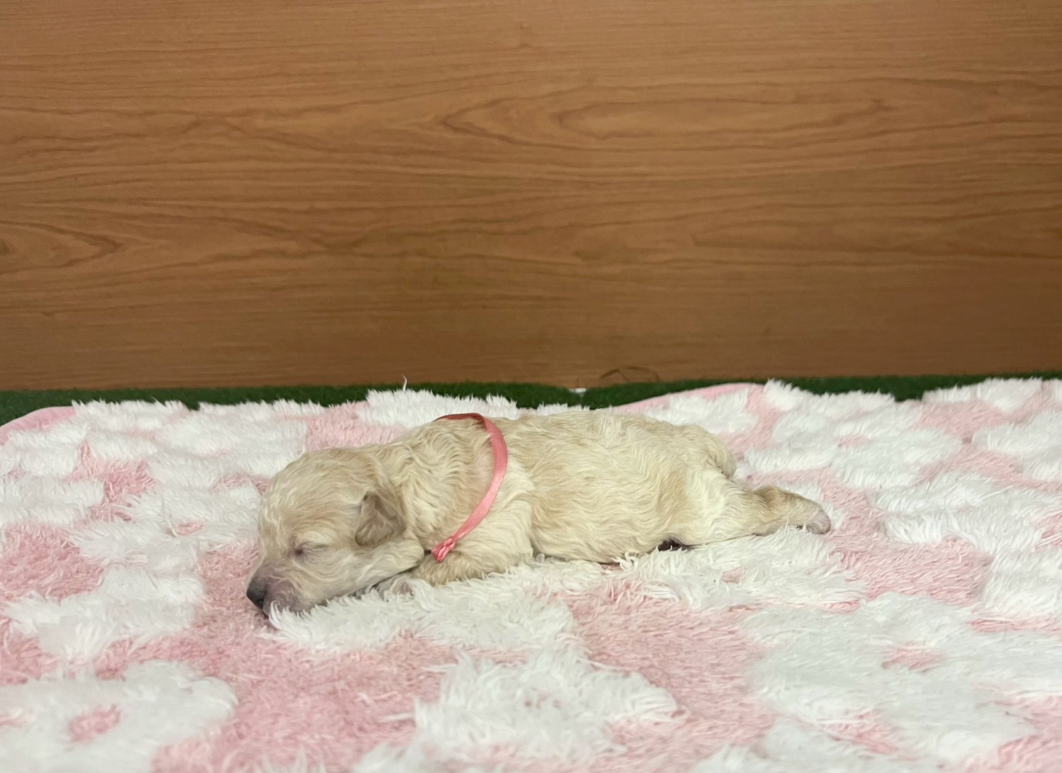 赤ちゃん写真1-2