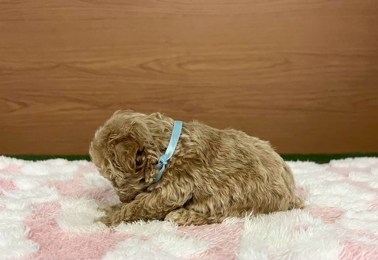 赤ちゃん写真2-2