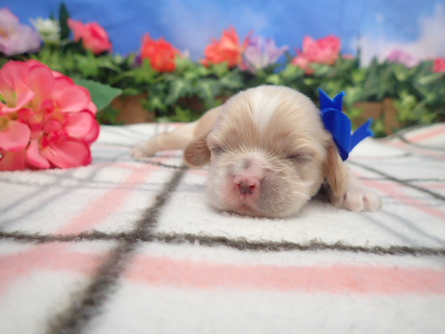 赤ちゃん写真1-1