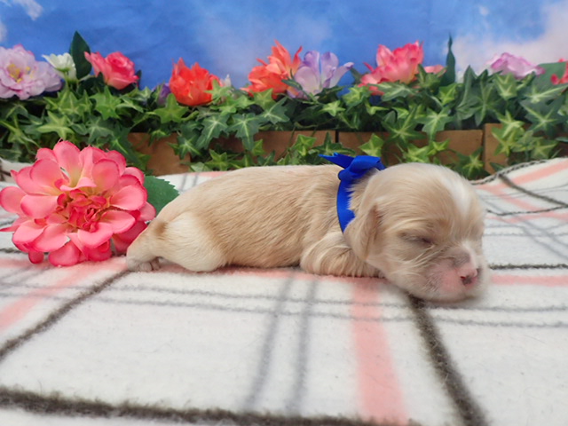 赤ちゃん写真1-2