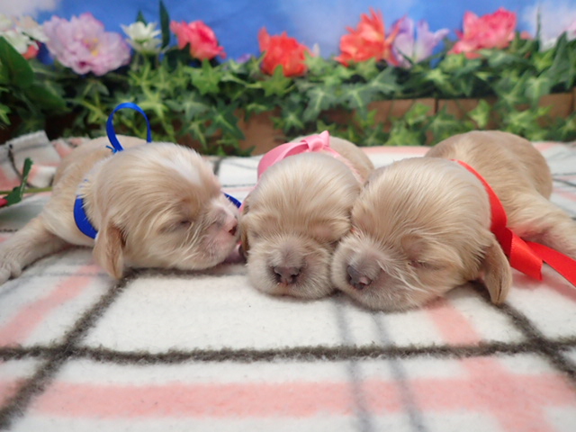 赤ちゃん写真1-3