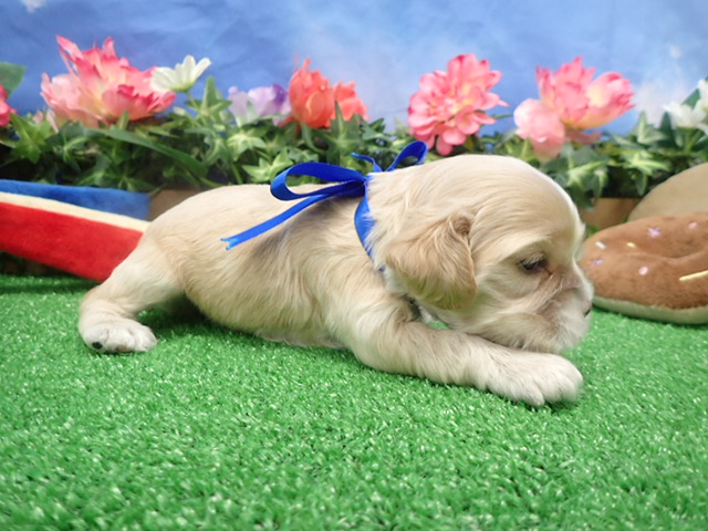 赤ちゃん写真2-2