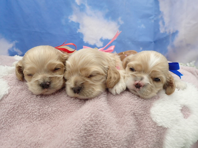 赤ちゃん写真2-3