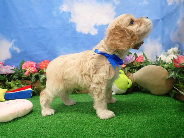 赤ちゃん写真3-2