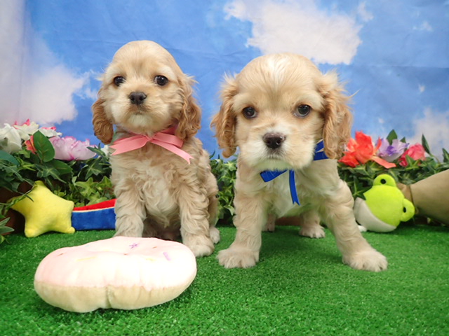 赤ちゃん写真3-3