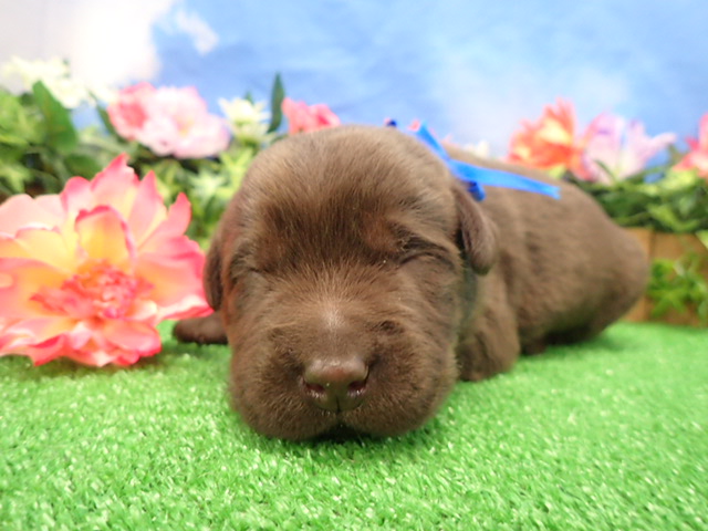 赤ちゃん写真1-1