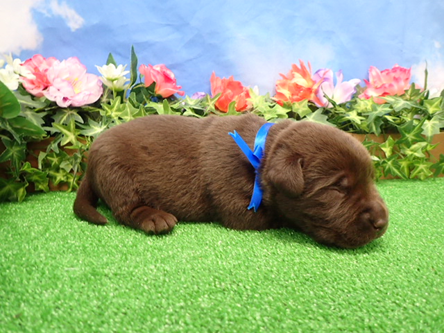 赤ちゃん写真1-2