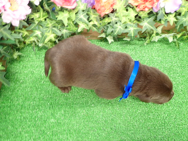 赤ちゃん写真1-3