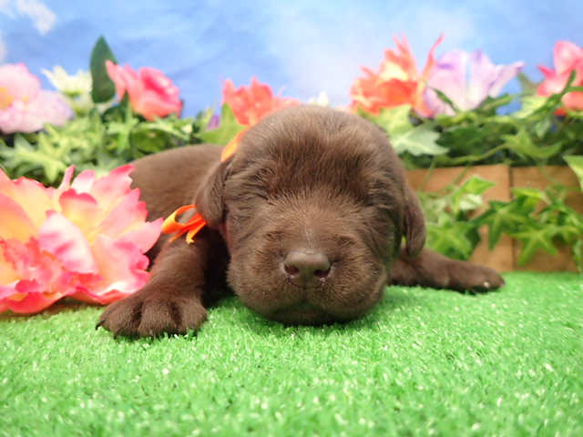 赤ちゃん写真1-1