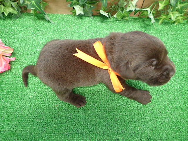 赤ちゃん写真1-3