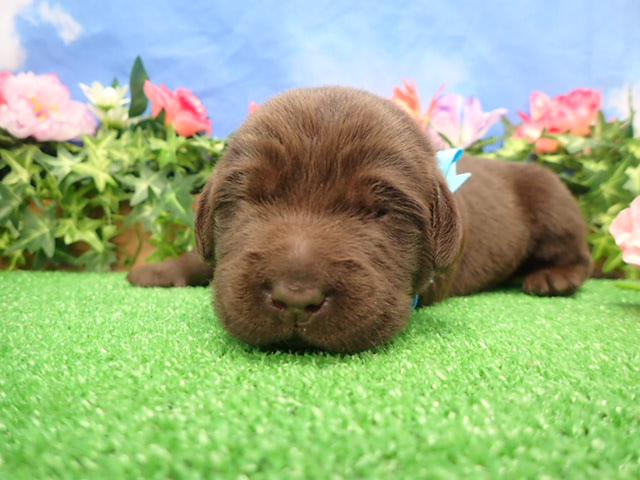 赤ちゃん写真1-1