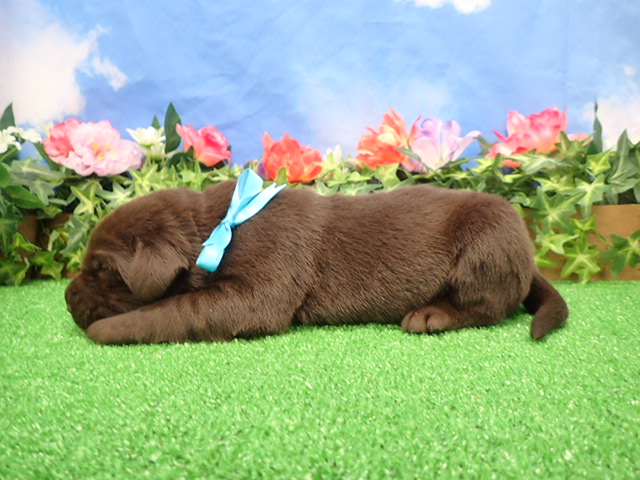 赤ちゃん写真1-2