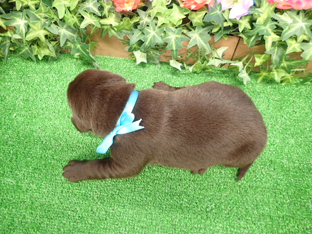 赤ちゃん写真1-3