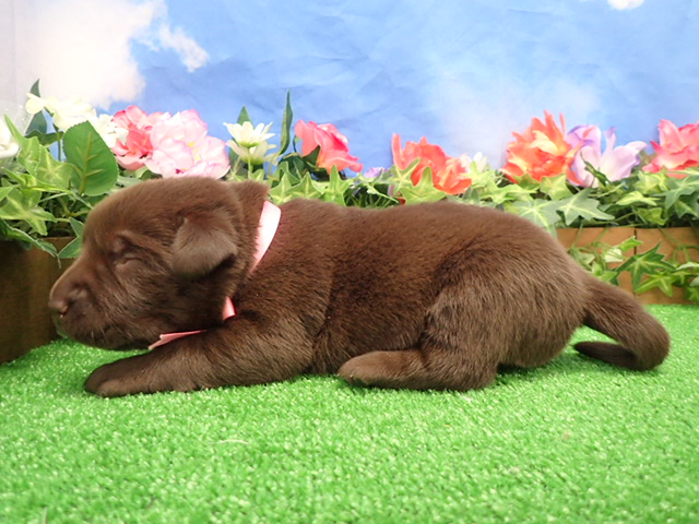 赤ちゃん写真1-2