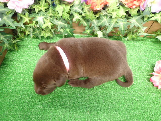 赤ちゃん写真1-3