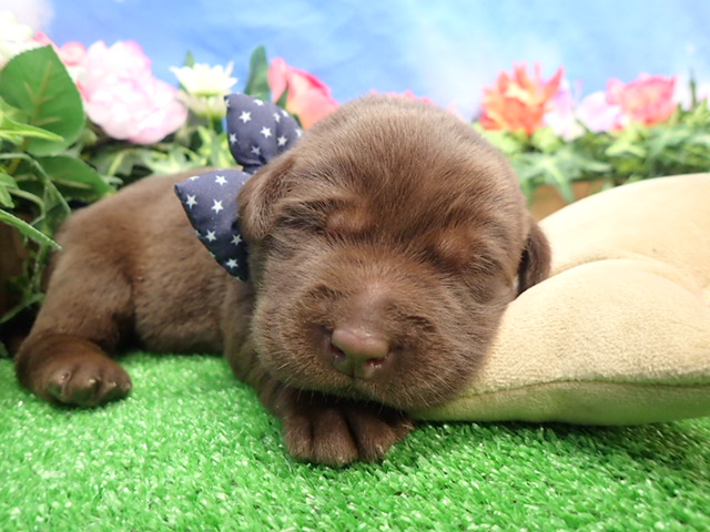 赤ちゃん写真1-1