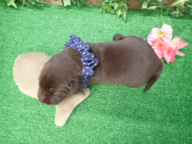 赤ちゃん写真1-3